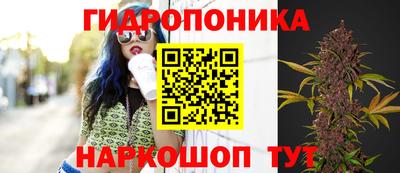 jwh Партизанск